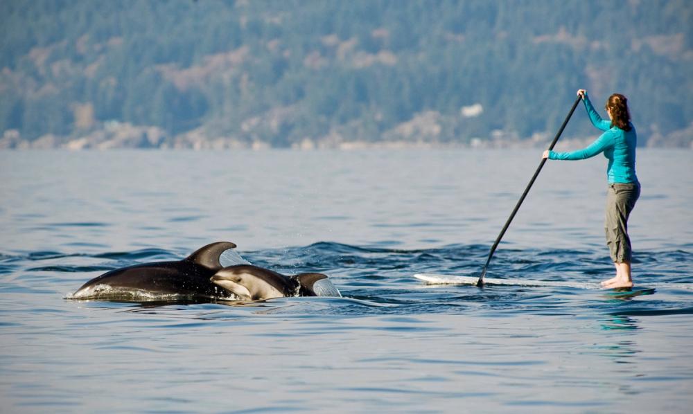 5 Ways to Get Out on the Water