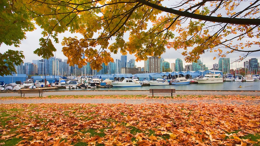 photo: Douglas Orton