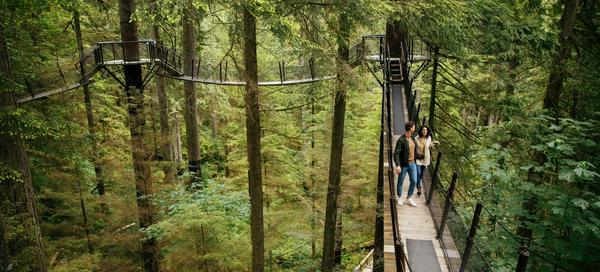 Treetops Adventure at Capilano Suspension Bridge Park