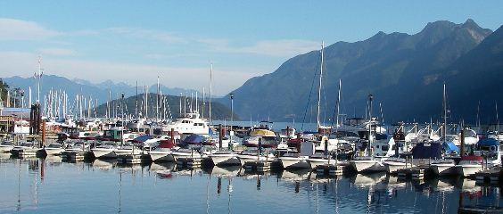 Sewells Marina