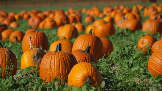 photo: Angela Clayton