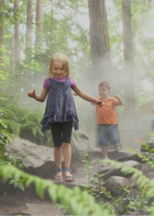 Youth Experiences in Vancouver