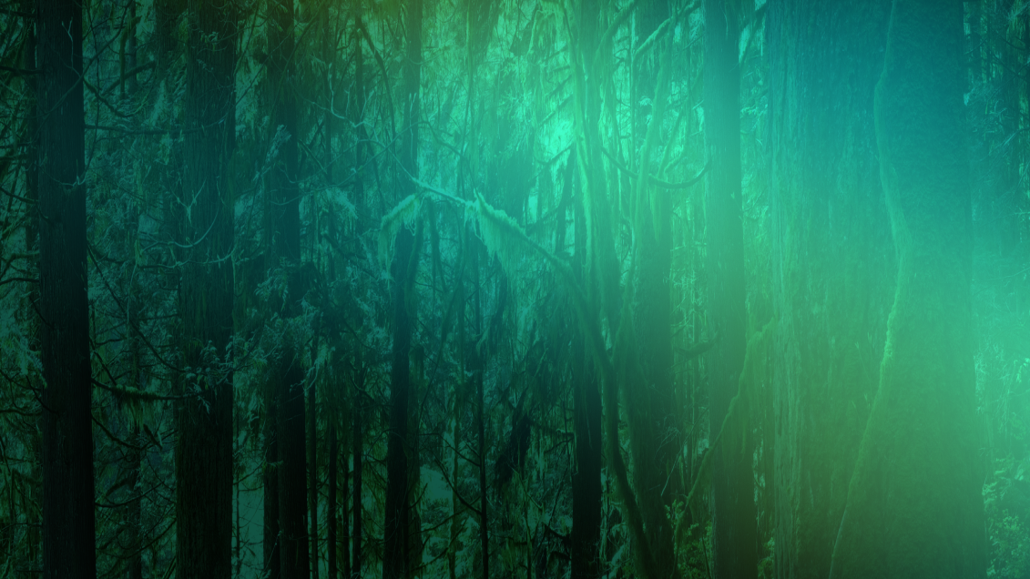 image background